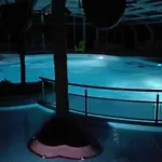 Zecamping 4 Bain A Remous Piscine Couverte Animaux Acceptes * סן ז'אן דה מון