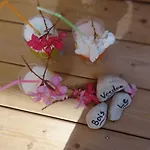 Zecamping 4 Bain A Remous Piscine Couverte Animaux Acceptes